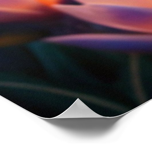 ウミガメ ポスター (角)