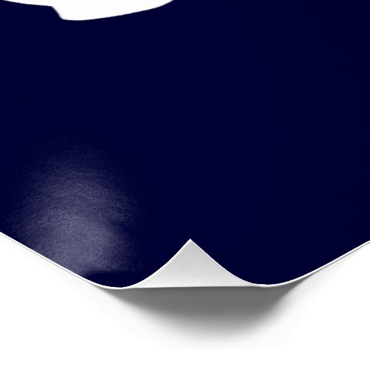 ウミガメ ポスター (コーナー)