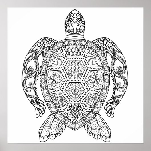 ウミガメ ポスター (正面)