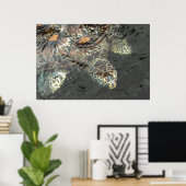 ウミガメ ポスター (ホームオフィス)