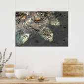 ウミガメ ポスター (キッチン)