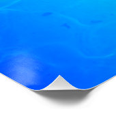 ウミガメ ポスター (コーナー)