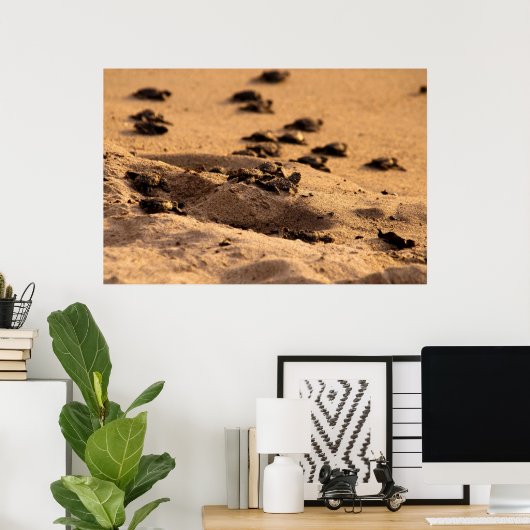 ウミガメ ポスター (ホームオフィス)