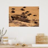 ウミガメ ポスター (キッチン)