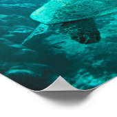 ウミガメ ポスター (角)