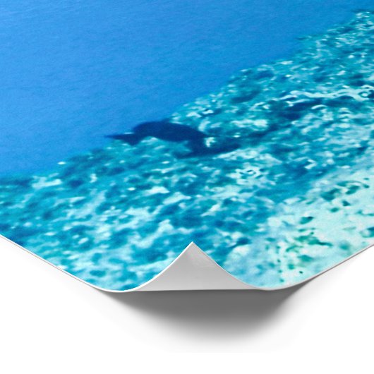 ウミガメ ポスター (角)