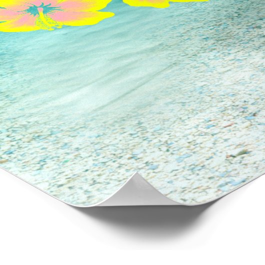 ウミガメ ポスター (角)