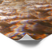 ウミガメ ポスター (角)