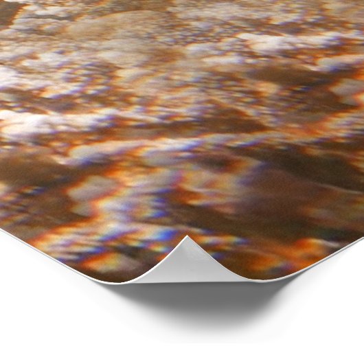 ウミガメ ポスター (角)