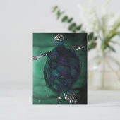 ウミガメ ポストカード (スタンド正面)