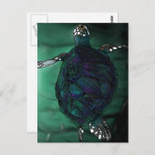 ウミガメ ポストカード (正面/裏面)