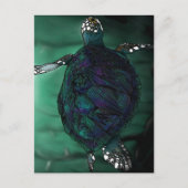 ウミガメ ポストカード (正面)