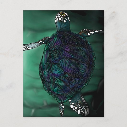 ウミガメ ポストカード (正面)