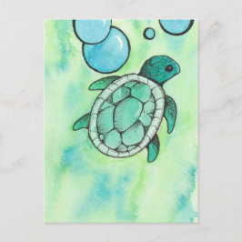 ウミガメ ポストカード