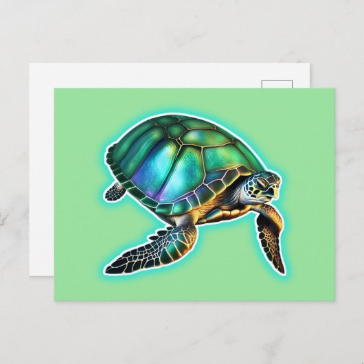 ウミガメ ポストカード (正面/裏面)