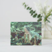 ウミガメ ポストカード (スタンド正面)