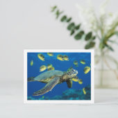 ウミガメ ポストカード (スタンド正面)