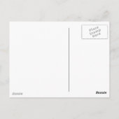 ウミガメ ポストカード (裏面)