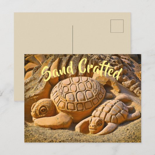 ウミガメ ポストカード (正面/裏面)