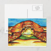 ウミガメ ポストカード (正面/裏面)