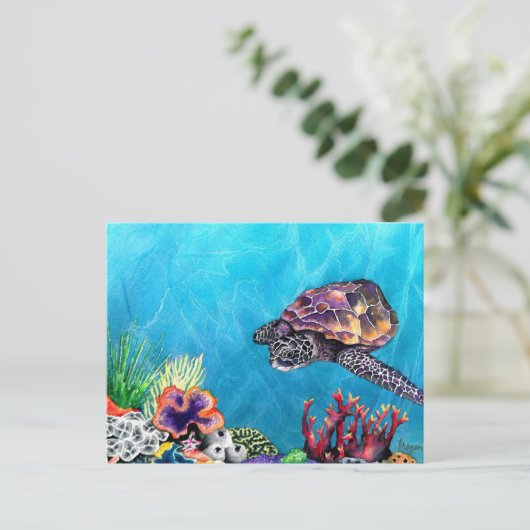 ウミガメ ポストカード (スタンド正面)