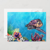 ウミガメ ポストカード (正面/裏面)