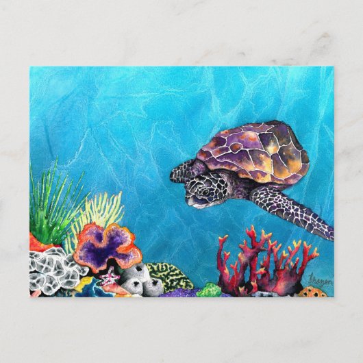 ウミガメ ポストカード (正面)