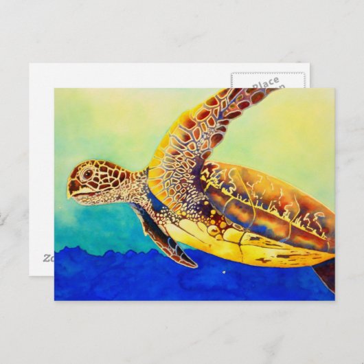 ウミガメ ポストカード (正面/裏面)