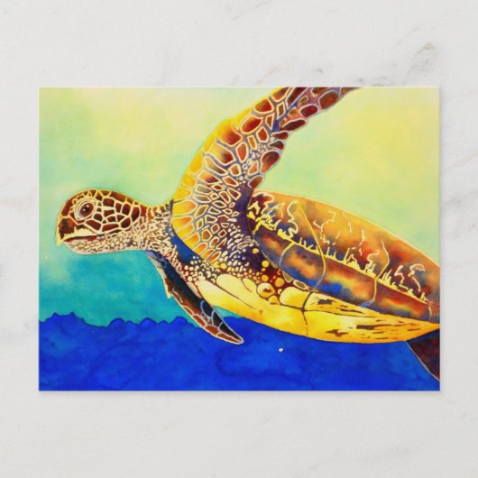 ウミガメ ポストカード (正面)