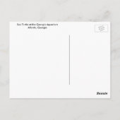 ウミガメ ポストカード (裏面)