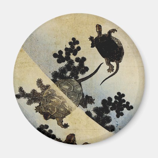 ウミガメ マグネット (正面)