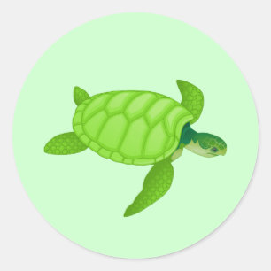 ウミガメ ラウンドシール