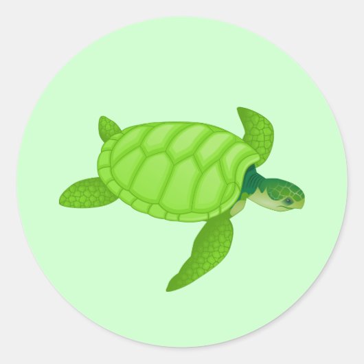 ウミガメ ラウンドシール (正面)