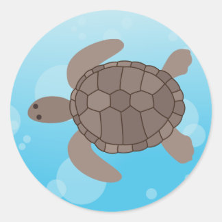 ウミガメ ラウンドシール