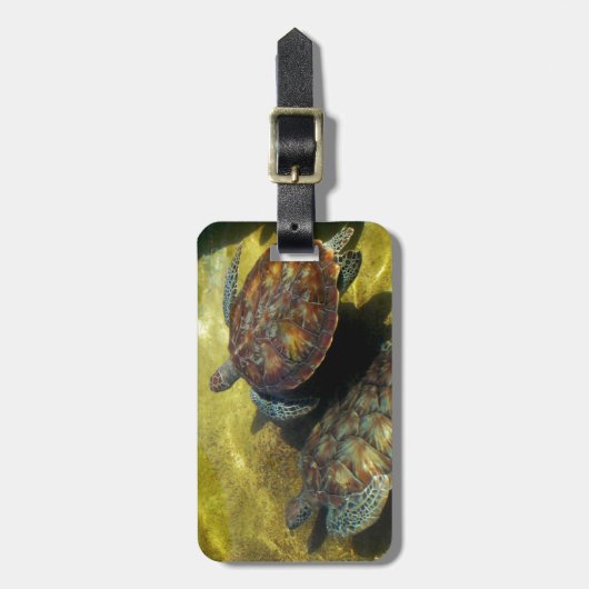 ウミガメ ラゲッジタグ (正面縦)
