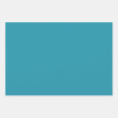 ウミガメ ラッピングペーパーシート (正面2)