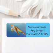 ウミガメ ラベル (インサイチュ)