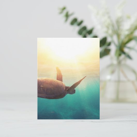 ウミガメ – 水中自然撮影 ポストカード (スタンド正面)