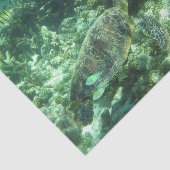 ウミガメ、熱帯魚、サンゴ 薄葉紙 (詳細)