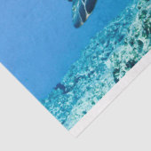 ウミガメ 薄葉紙 (詳細)