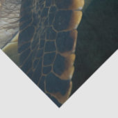 ウミガメ 薄葉紙 (詳細)