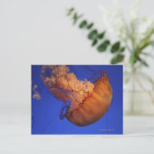 ウミクラゲ ポストカード (スタンド正面)