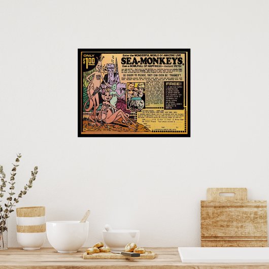 ウミザル ポスター (キッチン)