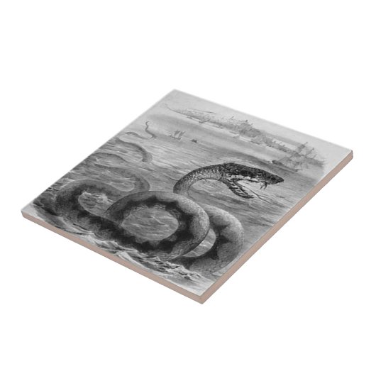 ウミヘビか蛇 タイル (側面)