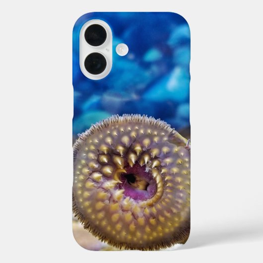 ウミヤツメ Case-Mate iPhoneケース (裏面)