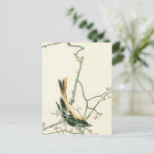 ウメの枝にルティシラ・オーレオア - 日本美術 ポストカード (スタンド正面)