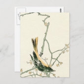 ウメの枝にルティシラ・オーレオア - 日本美術 ポストカード (正面/裏面)