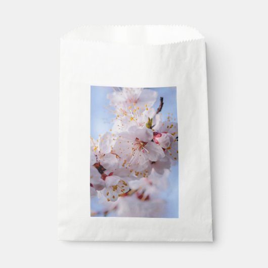 ウメの花 フェイバーバッグ (正面)