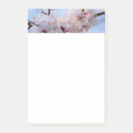ウメの花 ポストイット (正面)