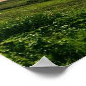 ウラコンベパノマ ポスター (角)